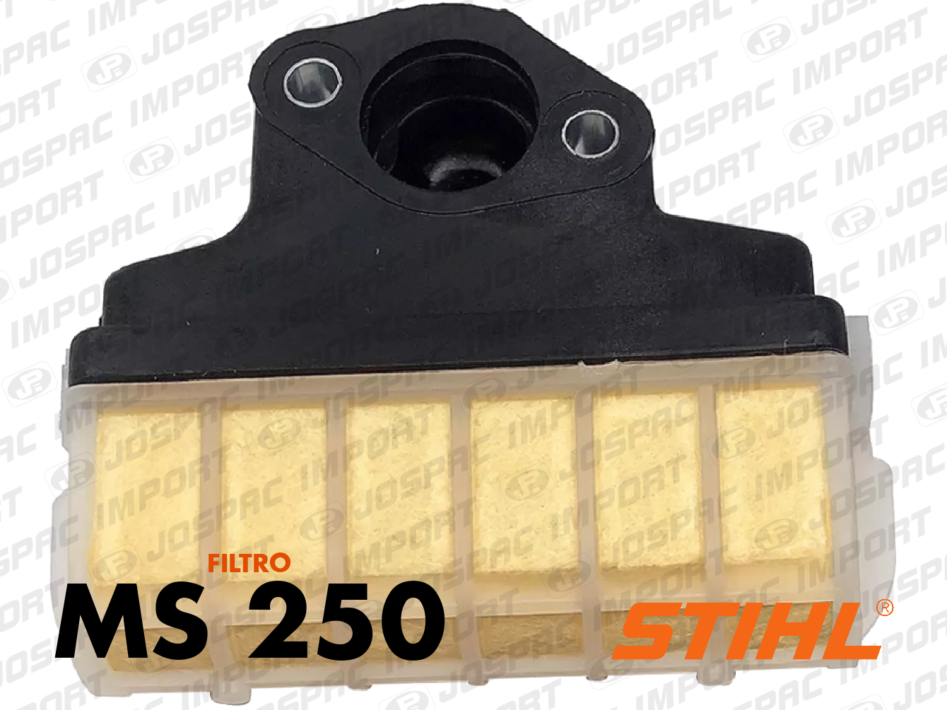 Foto de MS 250