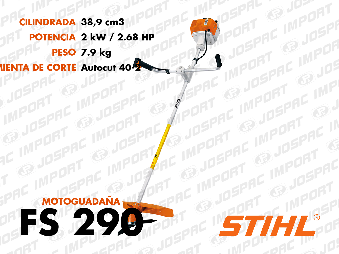Foto de FS 290